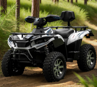 Электроквадроцикл GreenCamel Linhai A-LH40DA (3900W 50 км/ч)